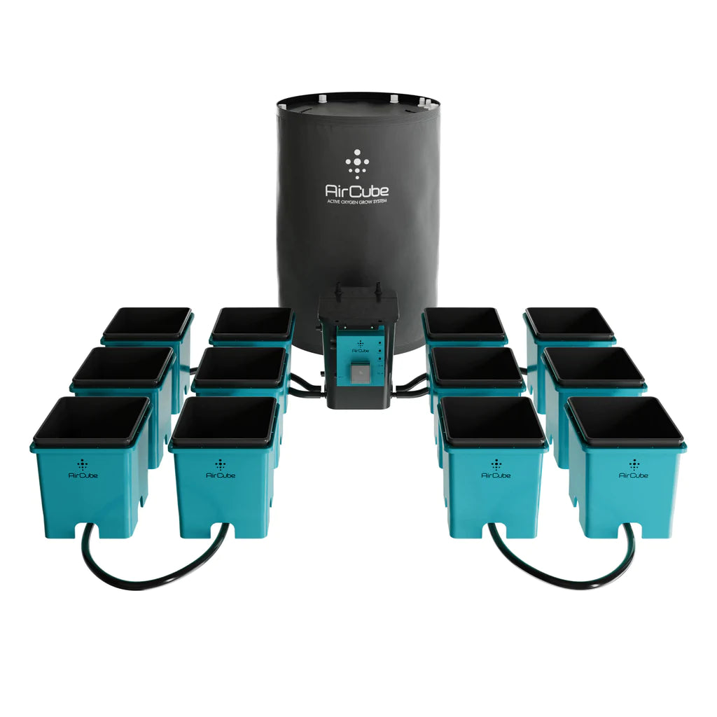 Sircuben AIrcube Ebb & FLow System Vs Other Growing Methods