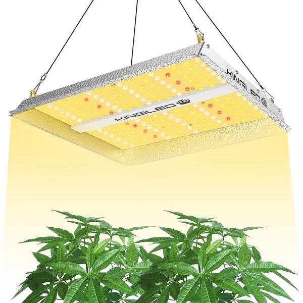 Illuminate Your Indoor Garden: Unveiling the Benefits of LED Grow Lights