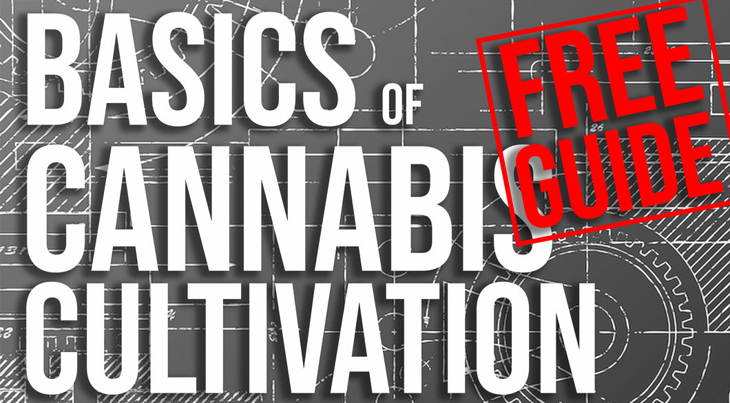 Basics Of Cannabis Cultivation at HOME - Free Guide