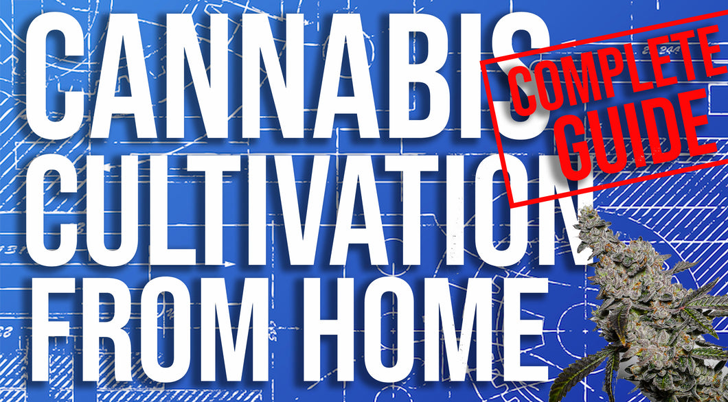 Cannabis Cultivation From Home - Complete Guide