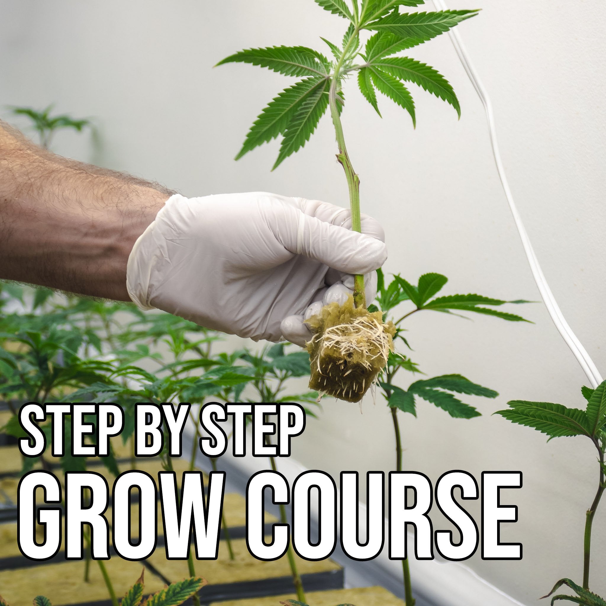Inside Hydro Grow Guide - Course - Course
