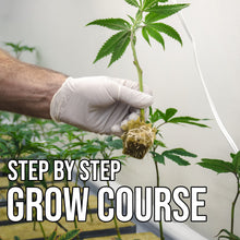 Load image into Gallery viewer, Inside Hydro Grow Guide - Course - Course